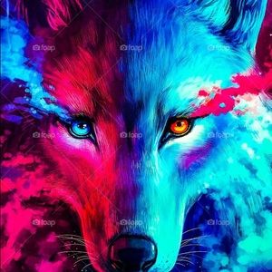 Meet your Posher, Jack